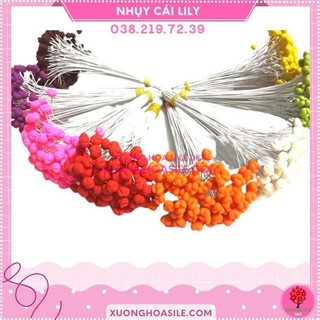 Nhụy hoa ly