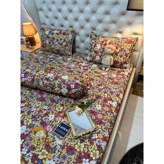 Bộ drap thun siêu lạnh latico bản cao cấp giá hấp dẫn