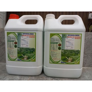 dinh dưỡng thủy canh hydrolindo cho rau lá va ăn quả cặp 10 lít
