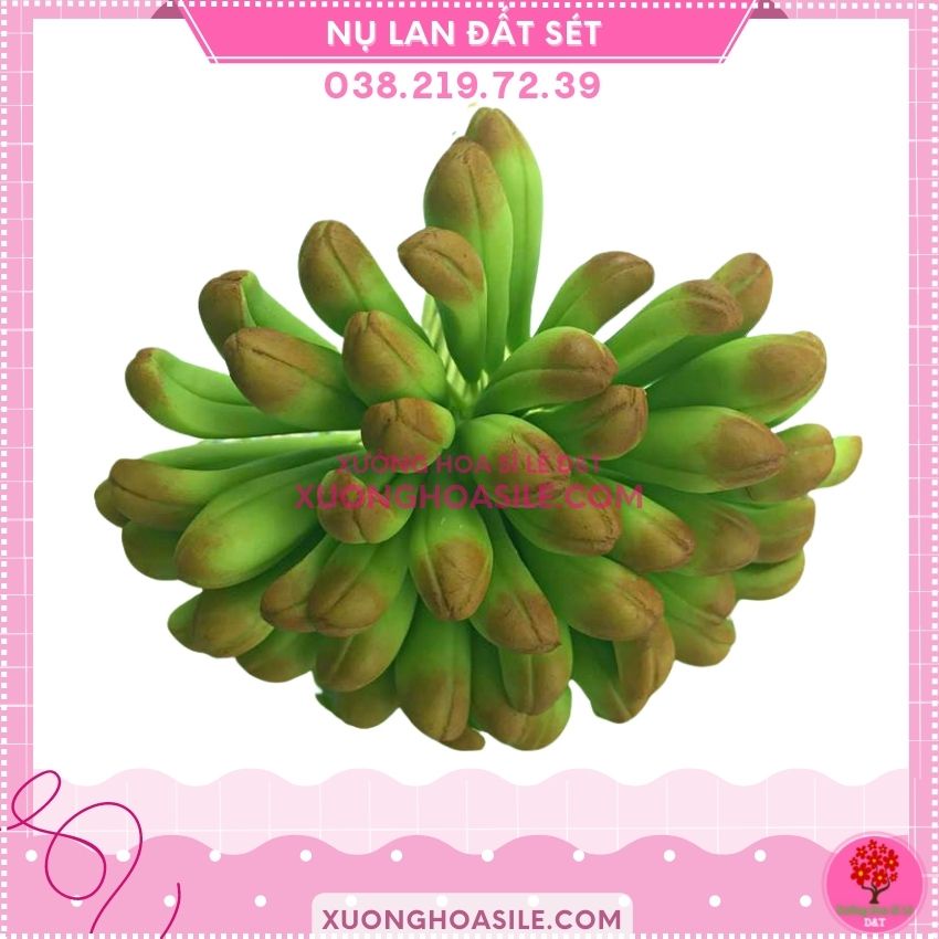 NỤ LAN DÀI, NỤ LAN ĐẤT SÉT