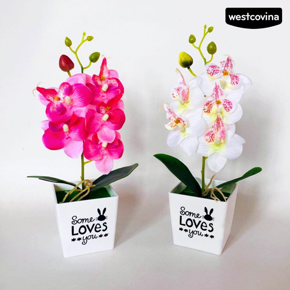 [WEST]⚘Chậu Hoa Lan Giả Kèm Chậu Dùng Trang Trí Nội Thất