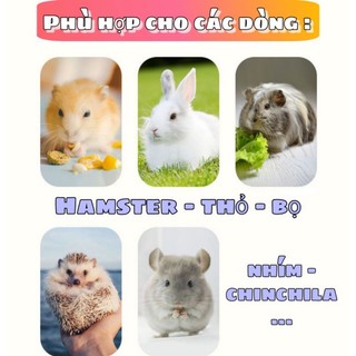 Thức ăn trộn dinh dưỡng cho Hamster, nhím, sóc,...