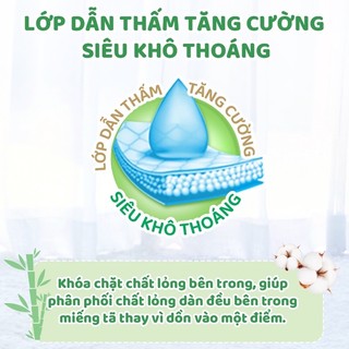 Bỉm Molfix tã dán/Quần đủ size cộng miếng