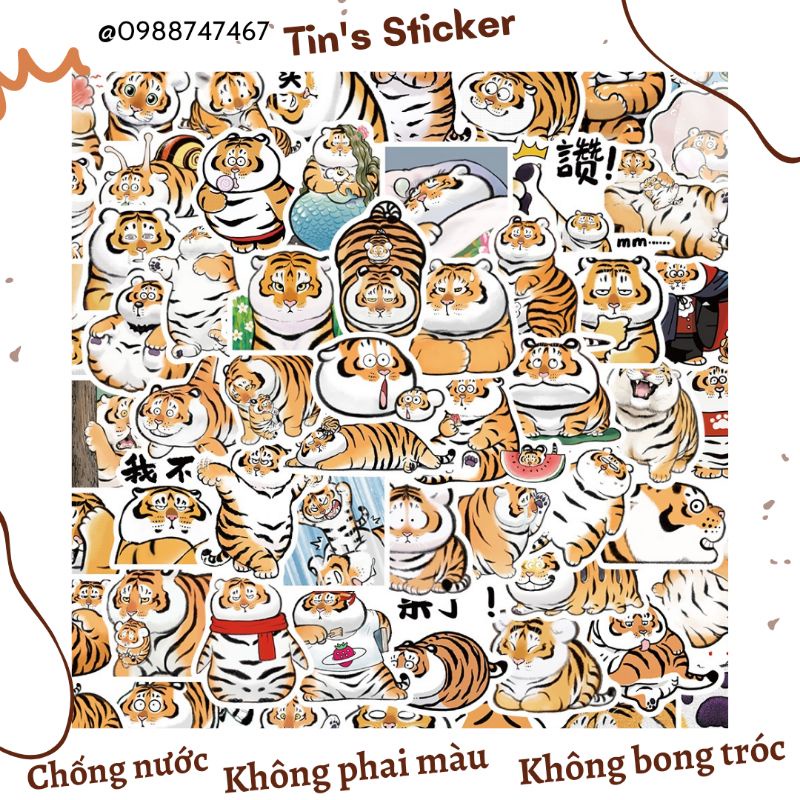 Set combo 50 miếng dán sticker Hổ Mập đáng yêu cute dễ thương dán nón mũ bảo hiểm laptop vali sổ đàn guitar điện thoại