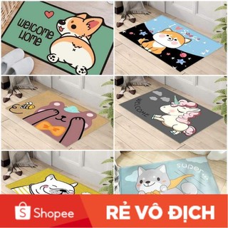 [RẺ VÔ ĐỊCH] THẢM LAU CHÂN 3D