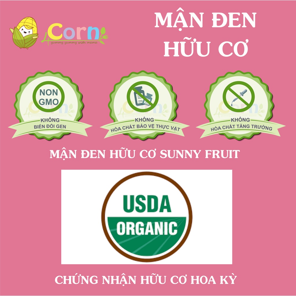 Mận đen sấy dẻo hữu cơ  Sunny Fruit - Cho bé 7m+