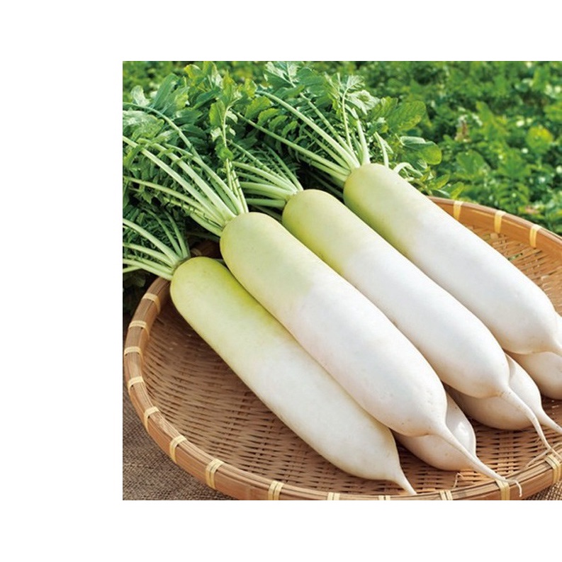 50GR Hạt Giống Củ Cải Trắng