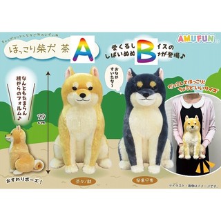 Hokkori Shiba Inu Chachanosuke Jumbo Chính Hãng Gấu Bông Nhật Amuse Authentic