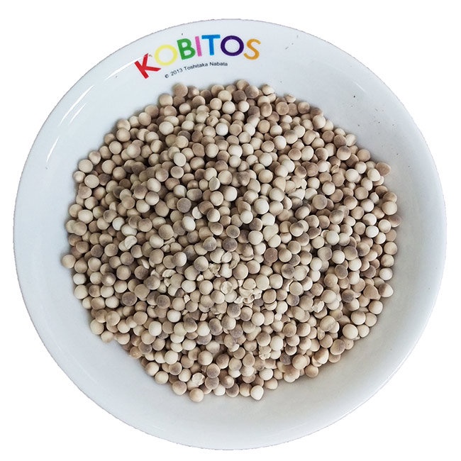 Combo Trân châu  CHI SHENG Đài Loan 1kg