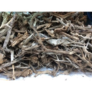 Lũa Gỗ, Lũa Rừng, Lũa Thủy Sinh  - Trang Trí Hồ Cá, Thiết Kế Layout cho Hồ Thủy Sinh