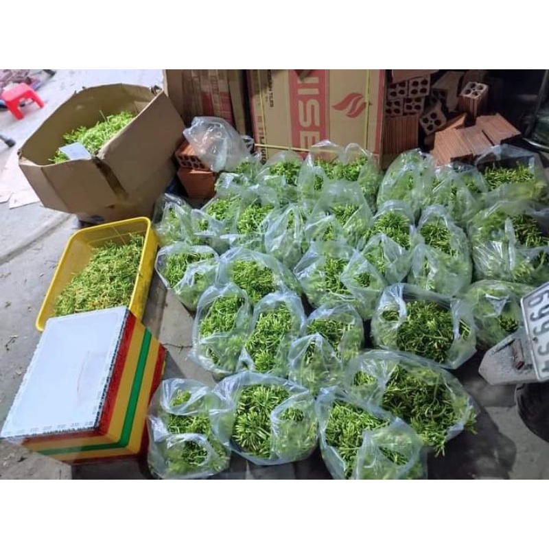 (giá rẻ nhất) 1 kg hoa đu đủ đực tươi sạch hàng có sẵn tại Sài Gòn