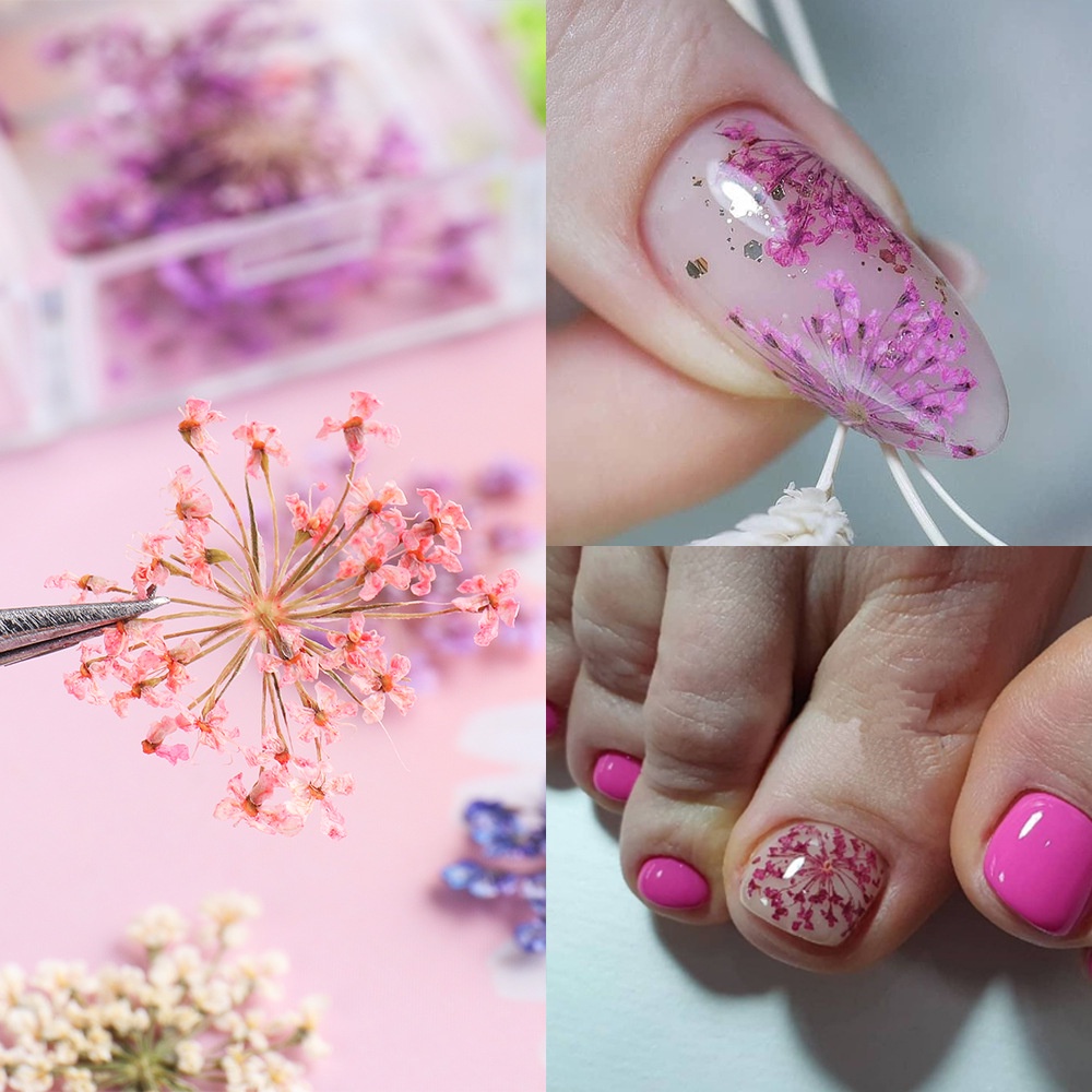 Hoa Khô Trang Trí Móng Tay Nghệ Thuật Mẫu Mới 2023