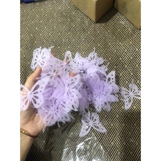 Bộ b ướm đính ngọc