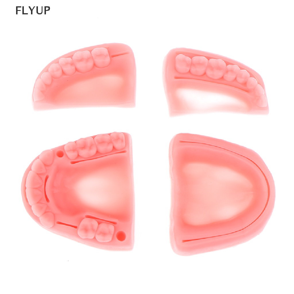 Set 4 Mô Hình Hàm Răng Giả Hỗ Trợ Dạy Học