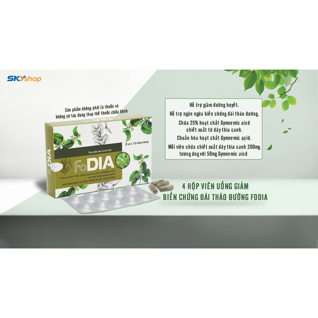 Viên uống ổn định đường huyết FODIA chiết từ dây thìa canh chuẩn hóa 25% Gymnemic Acid - Hộp 30 viên