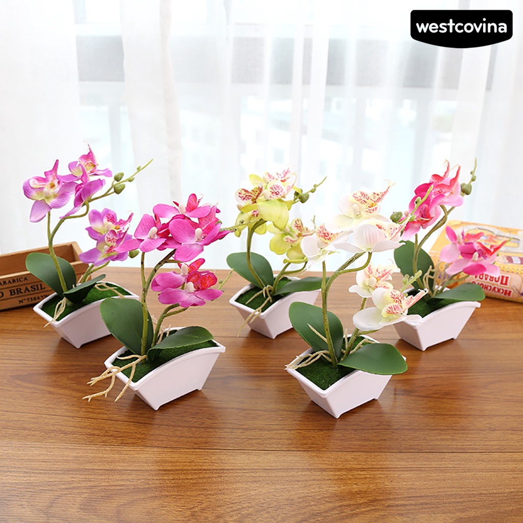[WEST]⚘Hoa Lan Giả Bằng Nhựa Trang Trí Đám Cưới