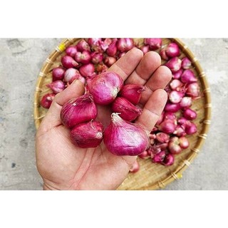Hành khô hành ta (Túi zip nhỏ từ 2 đến 3 củ)