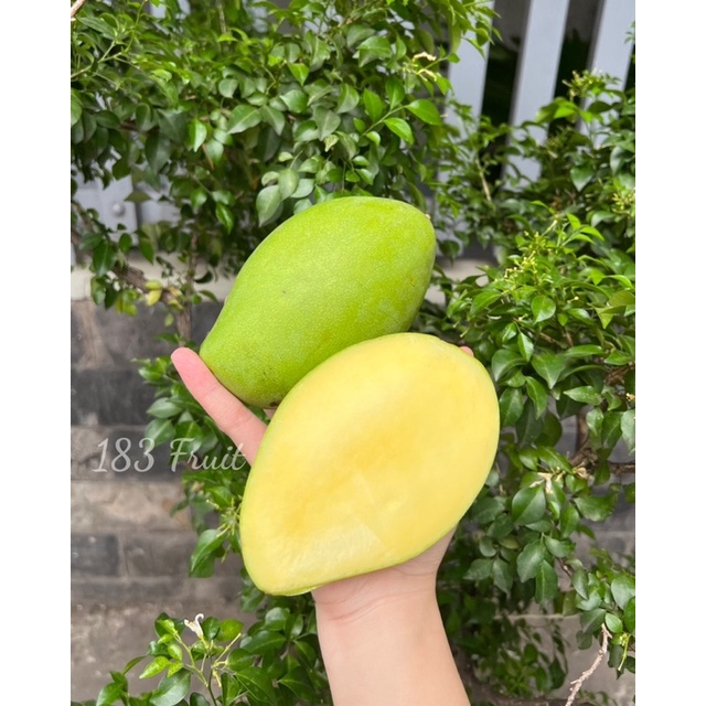 [HCM] Xoài keo 1kg