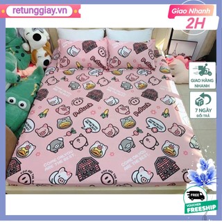 Bộ 1 Ga chun và 2 vỏ gối Cotton poly, chat chọn mẫu.