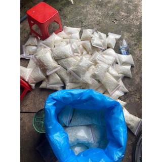 Mồi câu cá bông tuyết