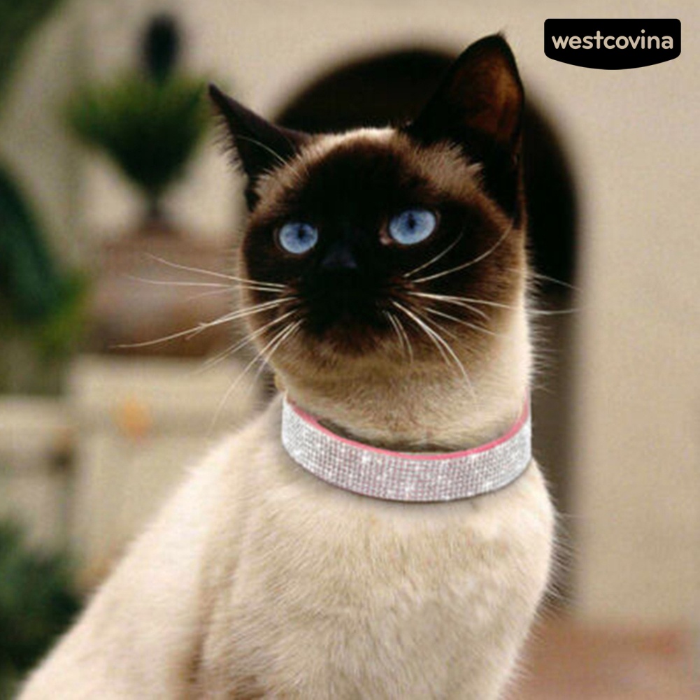 [COD]♘Vòng Cổ Da MềM MạI Cho Thú Cưng