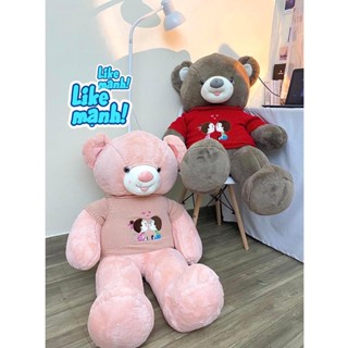 Gấu Bông Teddy áo Len Kiss Cao Cấp Hama Qùa tặng người yêu 20/10 KíchThước 1m
