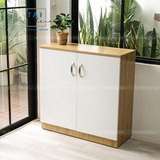 TỦ GIẦY THÔNG MINH 2 CÁNH 4 NGĂN TC025