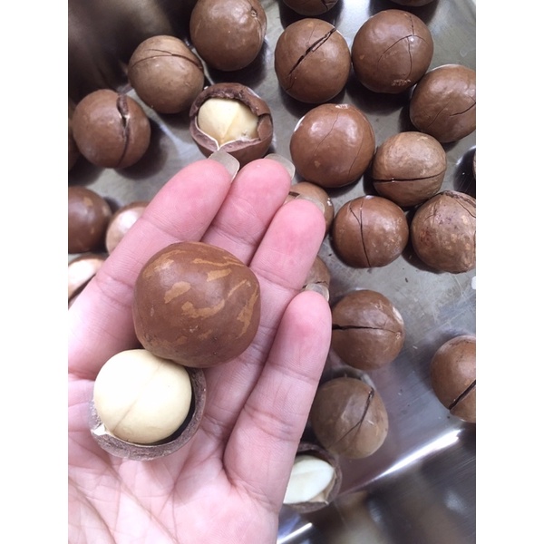 Hạt macca Di Linh sạch nứt vỏ
