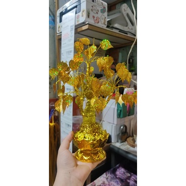 cây bồ đề đế sen cành vàng lá ngọc cao ~25-28cm phk shop