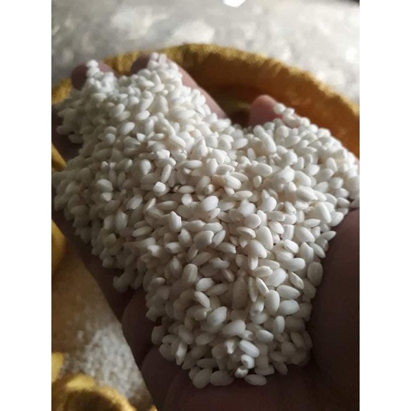 LÚA NẾP THƠM CAO BẰNG