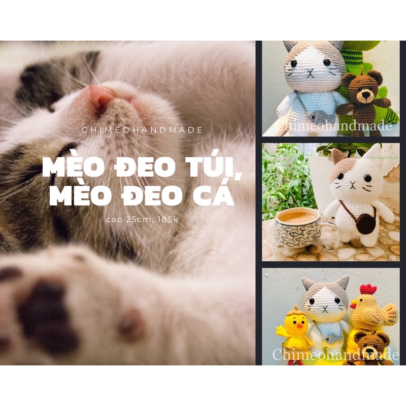Mèo đeo túi cá