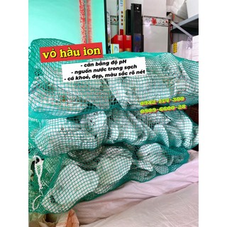Vỏ hàu ion, vỏ hàu đá giúp ổn định ph , lọc nước hồ cá, ổn định ph nước chuyên dành cho bể cá cảnh