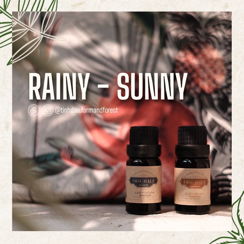 Tinh Dầu Kết Hợp Mưa Và Nắng 10ml, 30ml, Tinh Dầu Blend Sunny & Rainy Tinh Dầu Thiên Nhiên Nguyên Chất, Farm & Forest