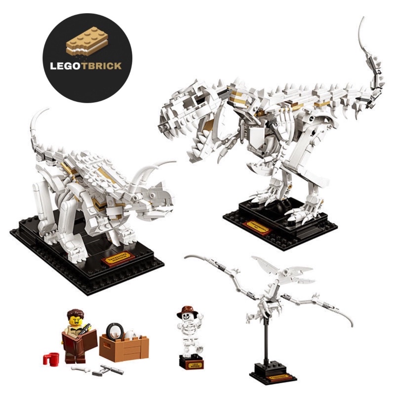 Đồ chơi lắp ráp mô hình Mô hình Xương Khủng Long Hóa Thạch - Dinosaur Fossils - Tbrick - nonlego