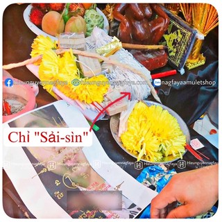 Dây Chỉ Ngũ Sắc Thái Lan [hieunguyennagfaya]