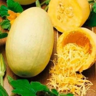 15H -Hạt_Giống_Bí_Mì_Sợi ( tặng kèm kích mầm và phân bón )
