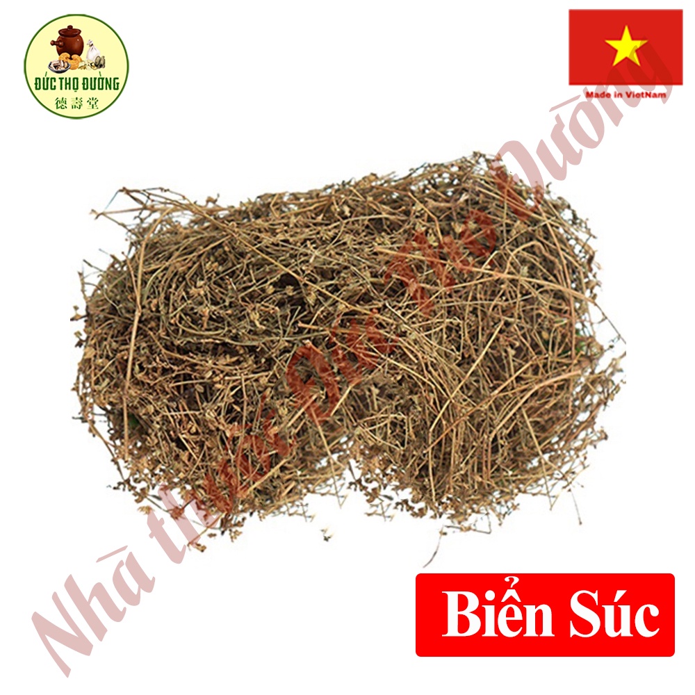 Biển Súc - Phơi khô - Túi 500g