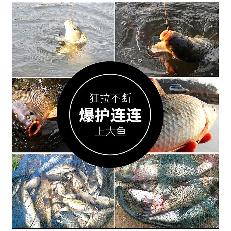 Cuộn Dây Câu Cá 100m Bằng Nylon Chất Lượng 4LB-50LB