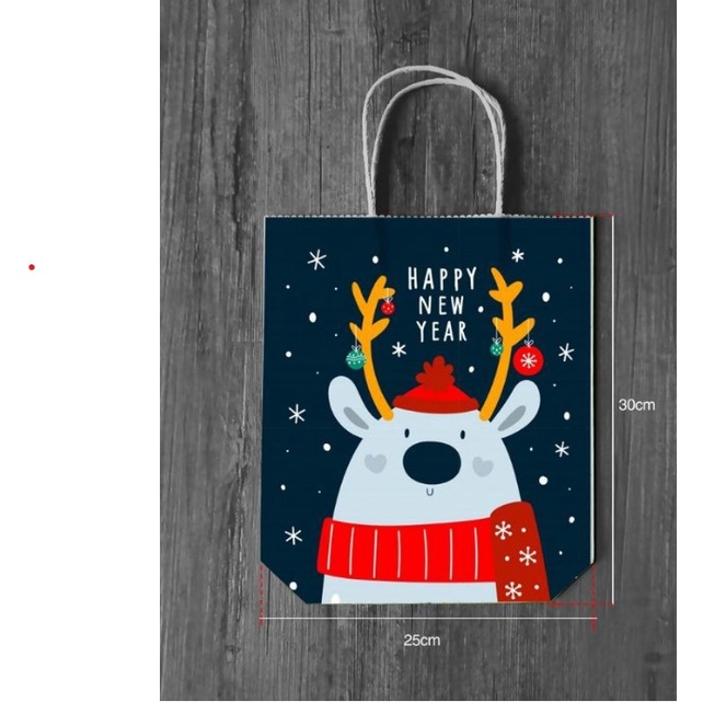 Túi giấy đựng quà giáng sinh 23cm x 17cm