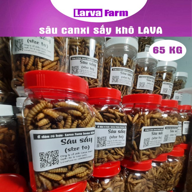 Sâu canxi sấy khô LAVA 65gam loại đặc biệt ( vàng đẹp, không khét dành cho hamster/nhím/bò sát/ chim/ gà/..)