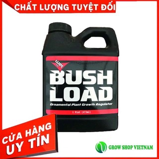 Phân bón Bush Load giúp kích búp tăng sản lượng
