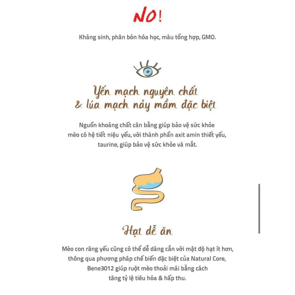 Hạt thức ăn cho mèo trưởng thành Natural Core C3 Bene 3012