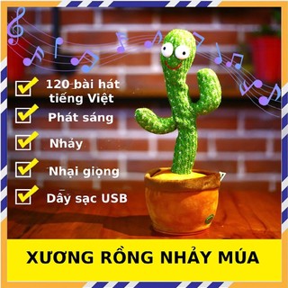 Cây xương rồng nhảy múa loại 120 bải hát sạc USB – Cây xương rồng biết nói