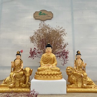 (giao HCM)Bộ 3 tượng Hoa Nghiêm Tam Thánh 30cm nhủ vẽ