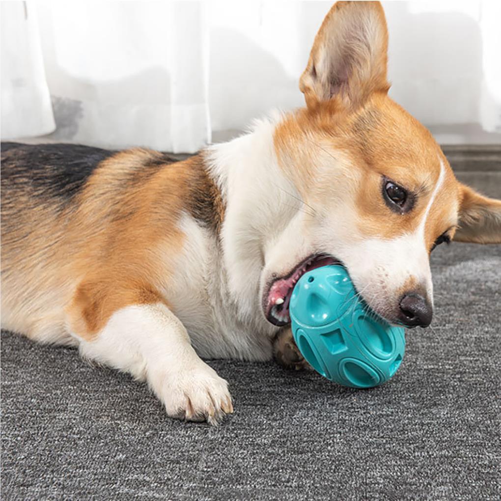 Bóng Cao Su Đồ Chơi Cho Thú Cưng