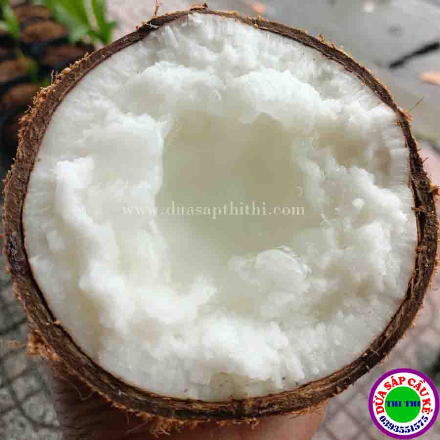 Sáp Bi Đặc Nhỏ 600gr-700gr