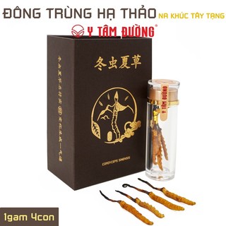 Đông trùng hạ thảo Na Khúc, Tây Tạng - Loại 4 con 1 gam