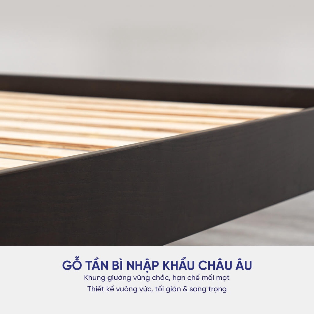 Giường gỗ Tần Bì Amando Athena hạn chế mối mọt, chống va đập tốt, độ bền bỉ cao, hỗ trợ lắp đặt Hà Nội, Hồ Chí Minh