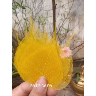 Xương lá bồ đề size mini 2-3-4cm dùng làm tranh trang trí decor