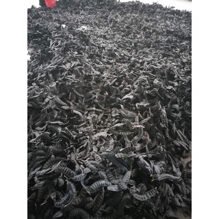 Bán lẻ 100gr quả bồ kết chín già quả đẹp khô tự nhiên